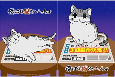 『夜は猫といっしょ』第3期、12月より配信スタート！メインビジュアル公開 アニメイトタイムズ