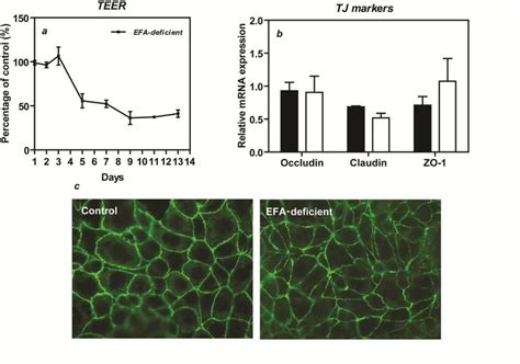 A Transepithelial Electrical Resistance TER In EFA Deficient Caco 2