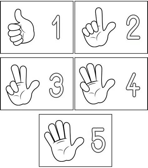 Pin By Carla Maione On Numeriamo Math Activities Preschool Preschool Activities Numbers