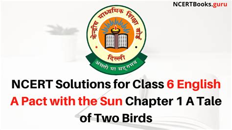 Ncert Solutions For Class 6 English A Pact With The Sun Chapter 1 A Tale Of Two Birds Ncert Books