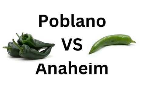 Poblano Vs Anaheim The 4 Differences You Need To Know