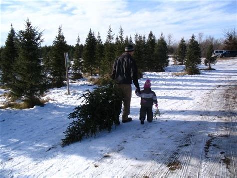 Crow River Nursery - Minnesota Grown