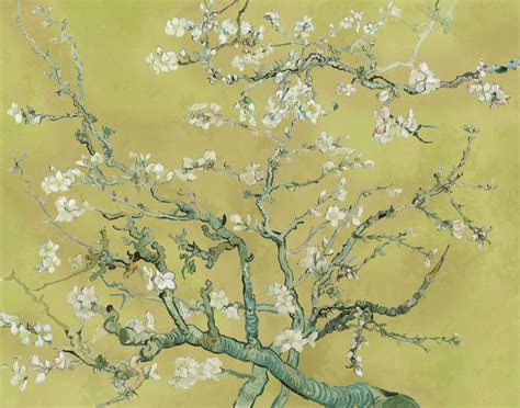 almond blossom wallpaper 1