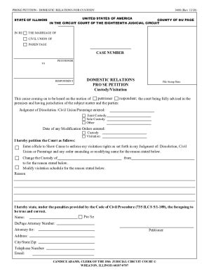 Domestic Relations Pro Se Petition Custody Visitation Fill And Sign