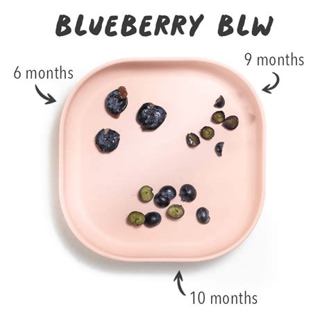 How To Serve Blueberries To Baby Baby Foode Recipe Baby Led