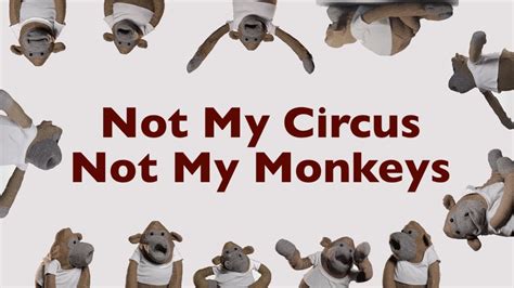 Not My Circus Not My Monkeys Music Video David Goody Youtube