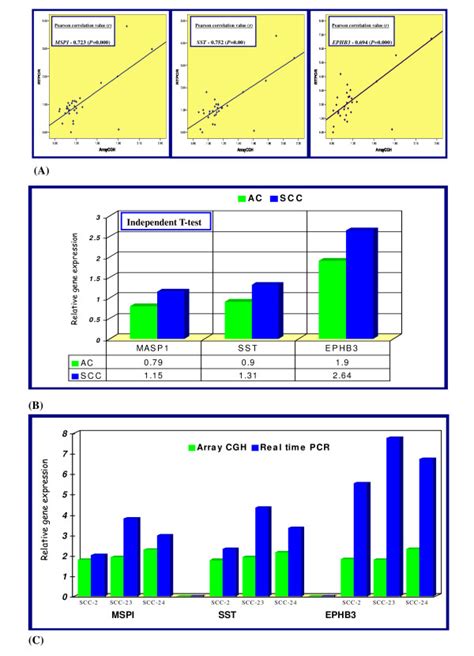 A The Scatter Plot Analysis Of All Data Points Of Three Genes Ephb3