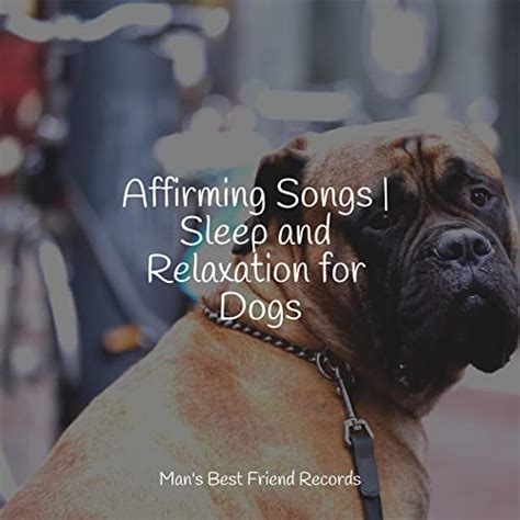 Play Affirming Songs | Sleep and Relaxation for Dogs by Sleeping Music ...