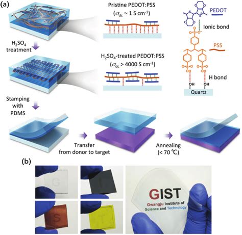 Transfer Process For Highly Conductive PEDOT PSS Films A Schematic