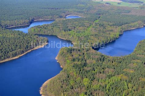 Luftaufnahme Groß Dölln Uferbereiche des Sees Großdöllner See in den