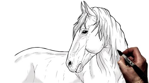 Top more than 148 horse art drawing latest - seven.edu.vn