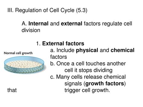 Ppt Unit 2 Cells Chapter 5 Cell Growth And Division Powerpoint