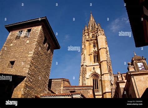 Gothic Cathedral Metropolitan Church San Salvador De Oviedo Asturias