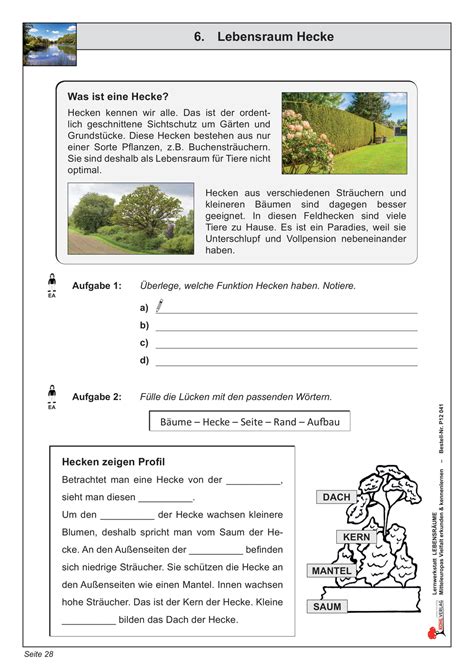 Lebensraum Hecke Unterrichtsmaterial Grundschule Wald Grundschule