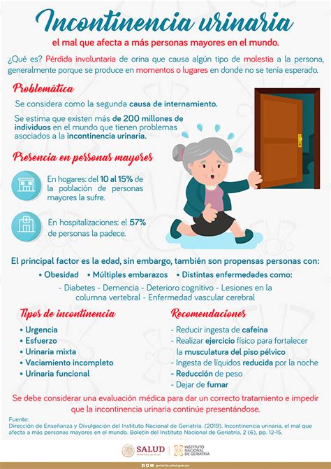 Infograf As S Ndromes Ger Atricos Instituto Nacional De Geriatr A