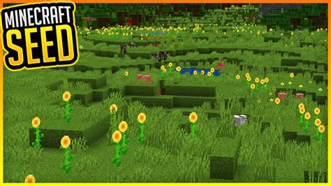 Sunflower Plains Seed Minecraft Minecraft 1164 Erikonhisperiod Youtube