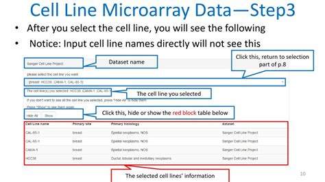 Cellexpress Tutorial A Comprehensive Microarray Based Cancer Cell Line