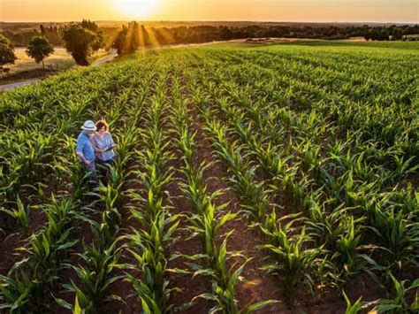 Socios estratégicos como el BCIE apostará por la seguridad alimentaria