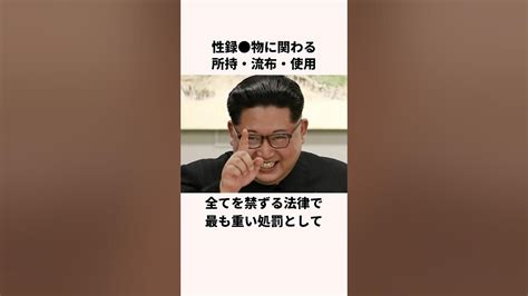 北朝鮮には自家発電を罰する刑法が存在する 北朝鮮 金正恩 Youtube