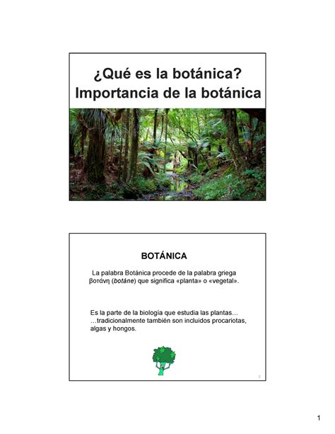 Examen 18 Octubre 2020 respuestas Qué es la botánica Importancia