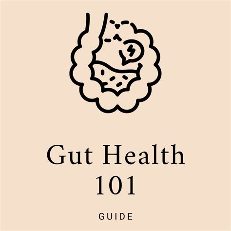 Gut Health 101 Dr Michael Ruscio Dc