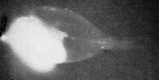 The Fish That Took Its Own X-ray