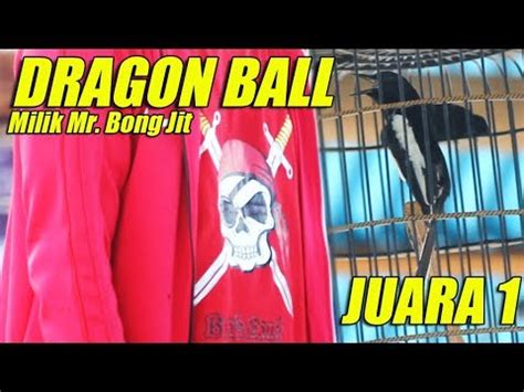 Kacer Mania Aksi Kacer Dragon Ball Juara Milik Mr Bong Jit Di St