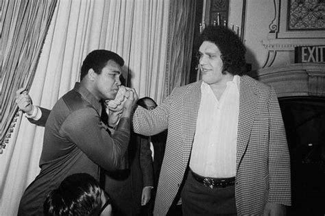 Facts About Andre The Giant Form The Latest Documentary That Will Make You Weep 24 Pics 1