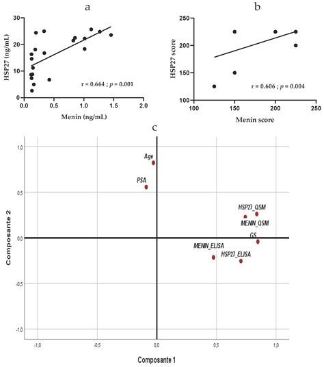 Cancers Free Full Text Hsp Menin Expression As New Prognostic