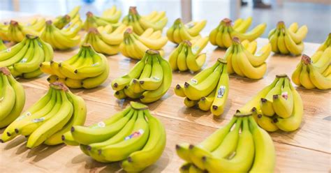 N O Descarte Veja Grandes Utilidades Da Casca Da Banana Nutritivo