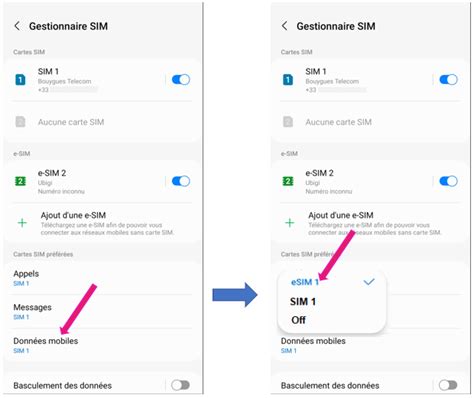 Comment Basculer Entre La Carte Sim Physique Et Le Profil Esim Sur Mon