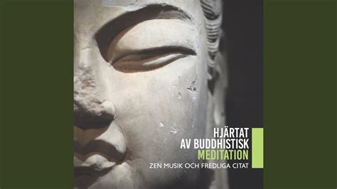 Hjärtat av buddhistisk meditation YouTube