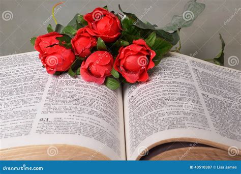 Open Bible With Red Roses Stock Photo Image 40510387