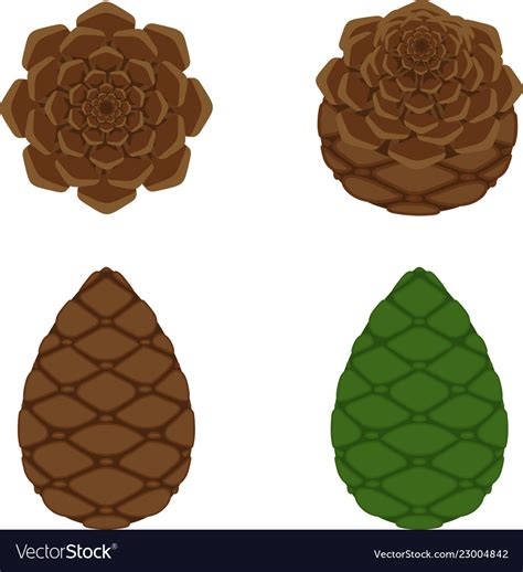 Pinecone Icon A Branch Of Pine From Coniferous Vector Image