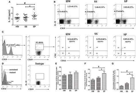 Level Of Il 10 In Serum Il 10 Producing B Cell B10 And Il 10