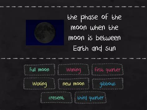 Moon Phases - Find the match