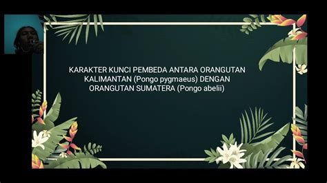 Inventarisasi Flora Fauna YouTube