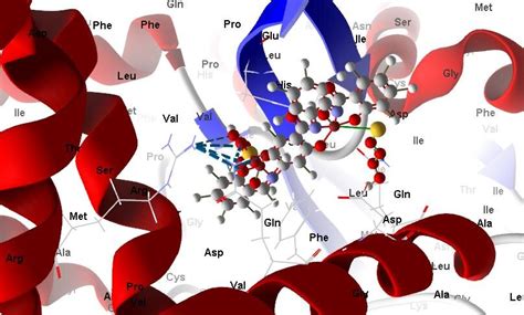 Virtual Molecular Docking Of The Best Docked Complex 1 With 3s7sprotein Download Scientific