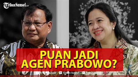 Menyala Puan Disebut Agen Prabowo Untuk Rangkul Pdip Koalisi