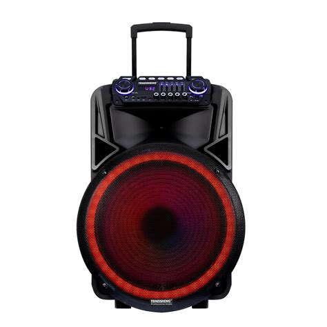 Inch Trolley Private Powerful Speaker With Multifunctional Bluetooth