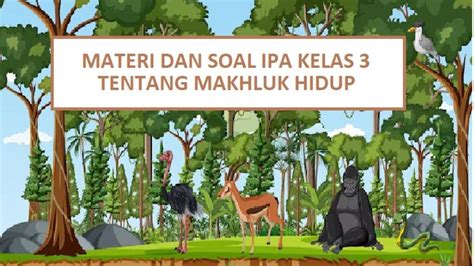 Video Kunci Jawaban Latihan Soal Ipa Kelas Sd Mi Mengenai Sifat Atau