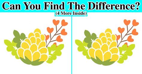 Only People With Sharp Eyes Can Spot The Differences In 90 Seconds See