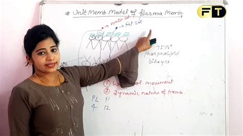 Cell The Unit Of Life Class 11 Part 6 Plasma Membrane Unit Model