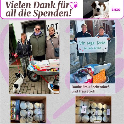 Vielen Dank für all tollen Spenden Tierheim Alsfeld