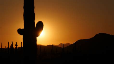 Organ Pipe National Monument | Music of Nature