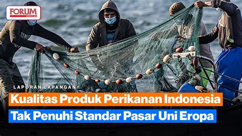 Kualitas Produk Perikanan Indonesia Tak Penuhi Standar Pasar Uni Eropa