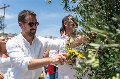 Leite Participa De Abertura Da Colheita De Oliva Em Encruzilhada Do Sul