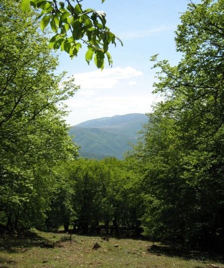 روستای جنگلی قرن‌آباد ؛ مقصد ناب گردشگری در استان گلستان مجله گردشگری