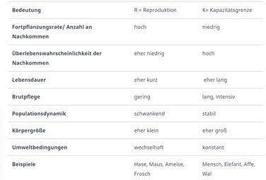 Eigenschaften von K und r Strategen Ökologie Beziehungen zwischen