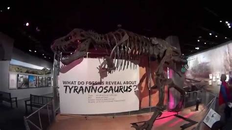 Tyrannosaurus Rex Smithsonian Museum Of Natural History Washington Dc Sony Action Camera Youtube